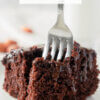 slice of chocolate cake with a fork, text overlay "Depression Cake".