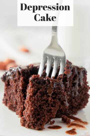 slice of chocolate cake with a fork, text overlay "Depression Cake".