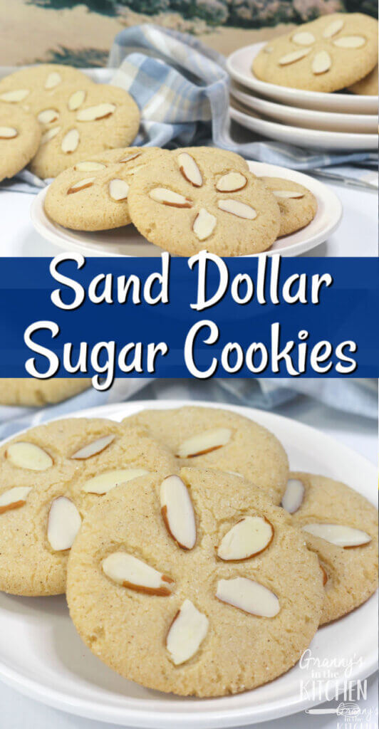 sand dollar sugar cookies