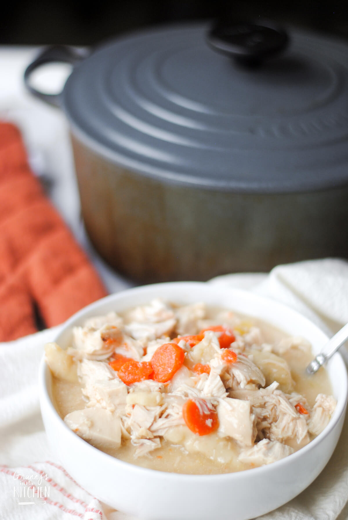 bowl of homemade chicken & dumplings in front of large soup pot