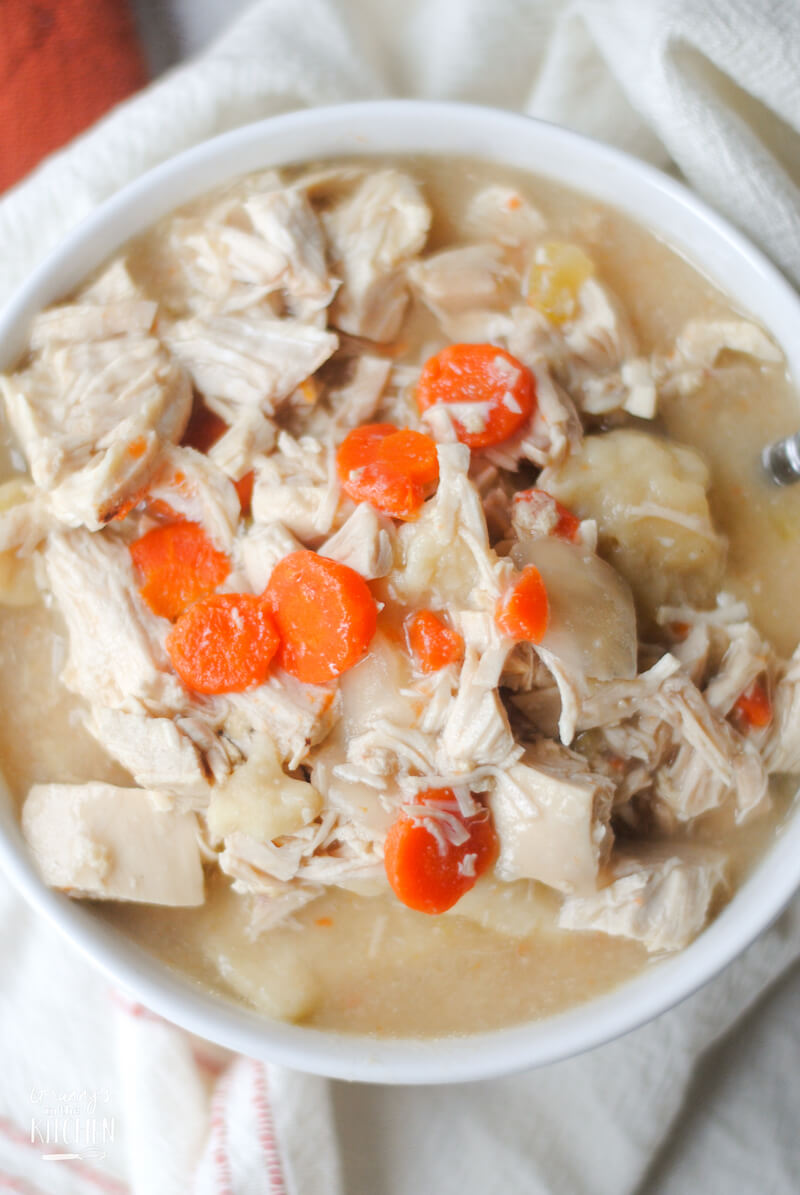top-down view of a bowl of chicken and dumplings