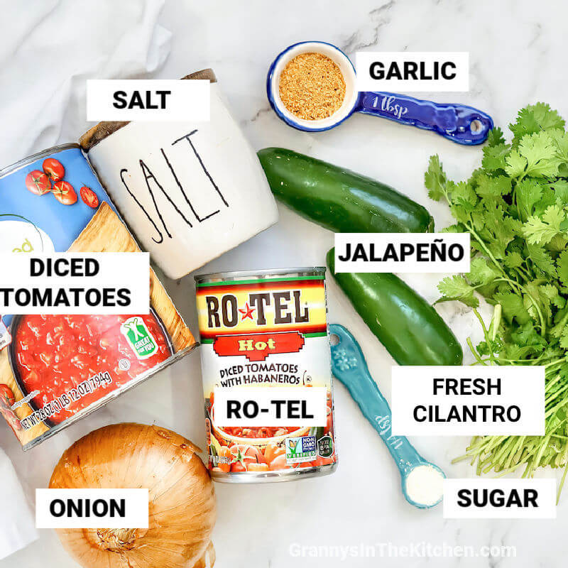 ingredients needed to make Chili's salsa at home