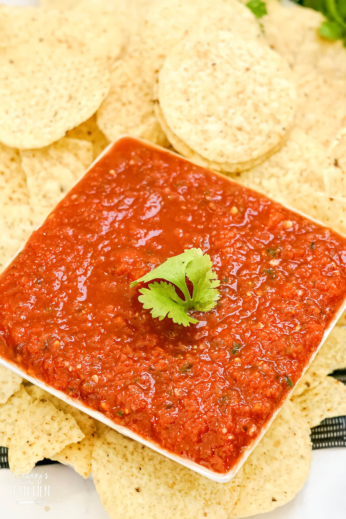 close-up of a bowl of salsa surrounded by tortilla chips