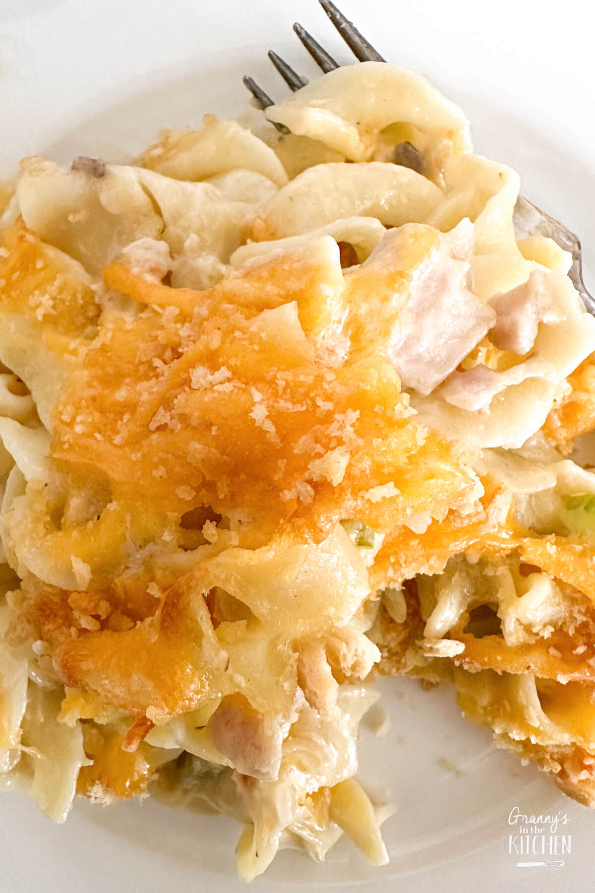 close up of tuna casserole on plate with a fork