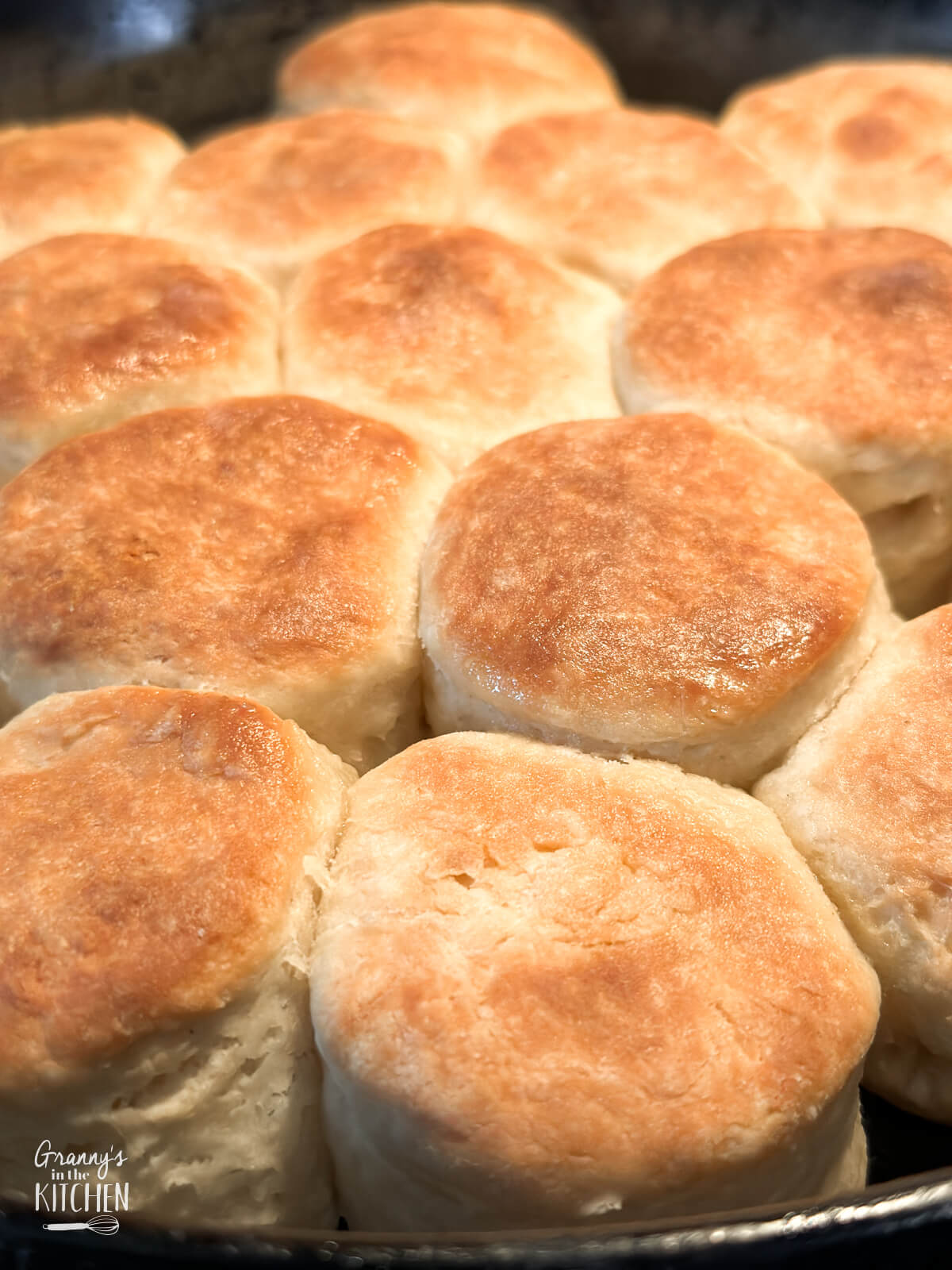 biscuits baked in a cast iron skillet.