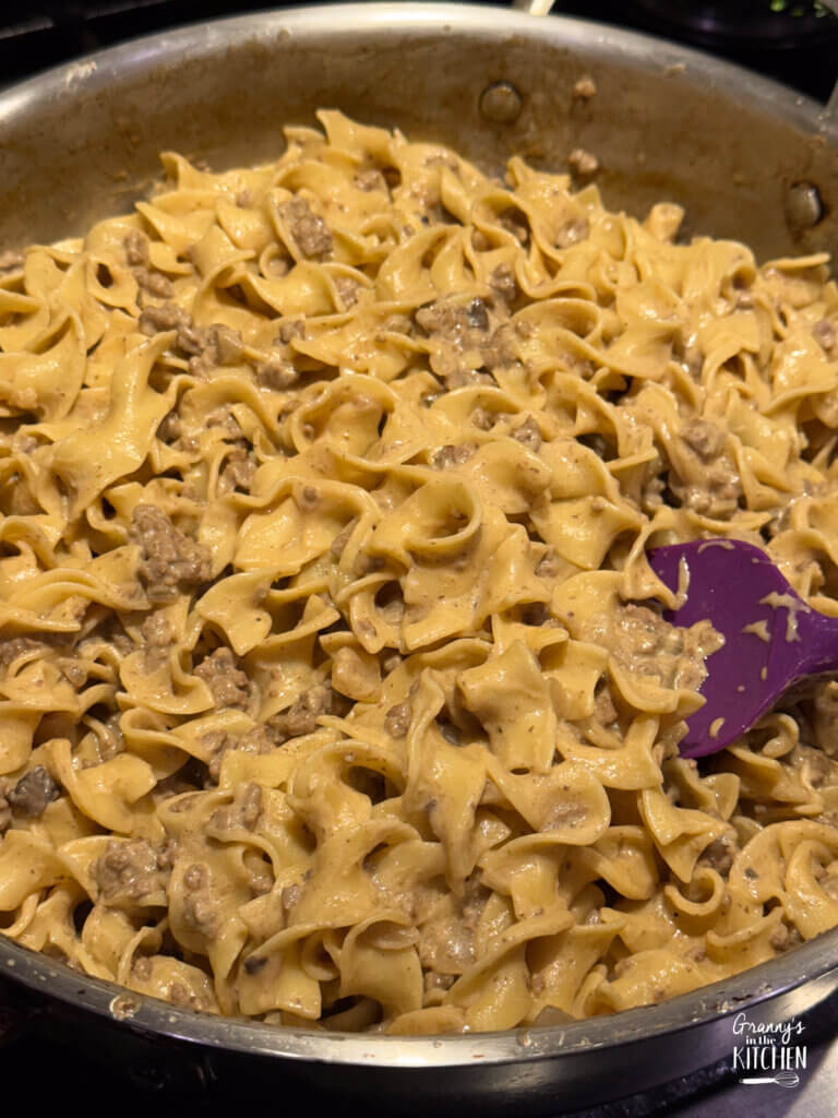 hamburger stroganoff with egg noodles.