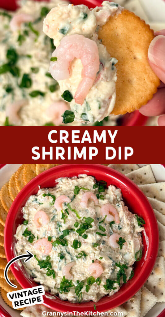 Shrimp Dip Pinterest style collage.